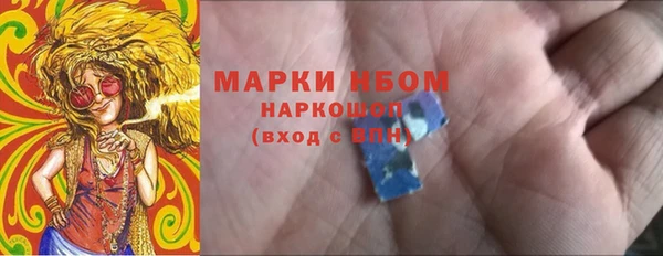 мдпв Богородск