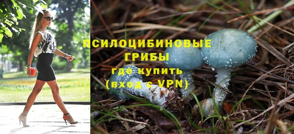синтетический гашиш Богородицк