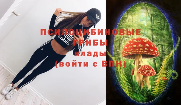 мдпв Богородск