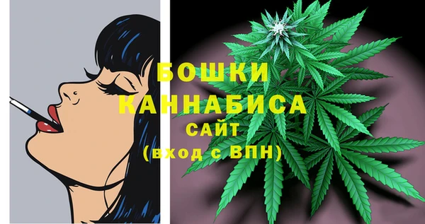 твердый Богданович