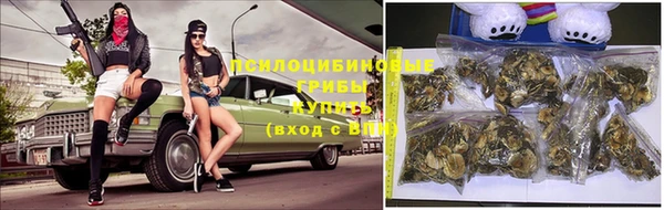 твердый Богданович
