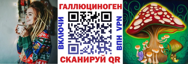 Галлюциногенные грибы Psilocybine cubensis  как найти   Демидов 